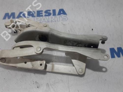 Used Hinge/Door check strap Hinge/Door check strap FIAT 500 C (312_) 1.2 (312CXA1A, 312AXA1A) (69 hp) 31393733 31393733