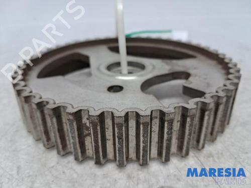 Polea PEUGEOT 308 SW II (LC_, LJ_, LR_, LX_, L4_) 1.6 BlueHDi 120 (120 hp) 31463222