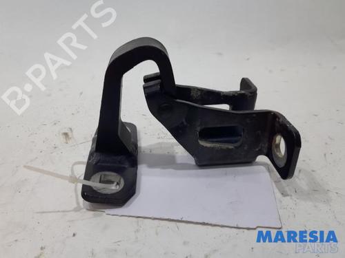 Used Hinge/Door check strap DACIA LOGAN MCV (KS_) 1.4 (75 hp) 31501492