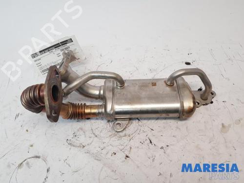 Used Egr RENAULT KANGOO Express (FW0/1_) 1.5 dCi 90 (FW0G, FW05, FW08, FW11) (90 hp) 31400111