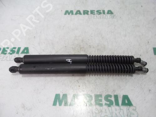 tailgate-lift-support-peugeot-307-cc-3b-2003-2004-2005-2006-2007-2008-2009-31384116 main image