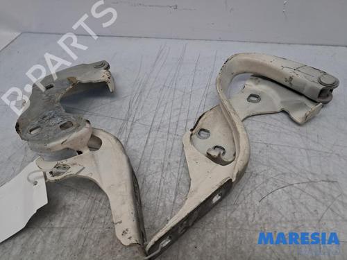 Used Hinge/Door check strap Hinge/Door check strap FIAT 500 (312_) 1.2 (312AXA1A) (69 hp) 33296371 33296371