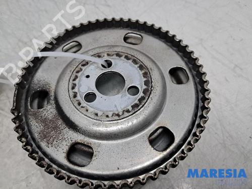 Pulley FIAT 500 (312_) 1.2 (312AXA1A) | BP32011754M122