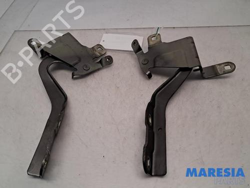 Used Hinge/Door check strap Hinge/Door check strap RENAULT CLIO IV (BH_) 0.9 TCe 90 (BHNF, BHMA, BHMH, BHJK, BHJR) (90 hp) 39896496 39896496