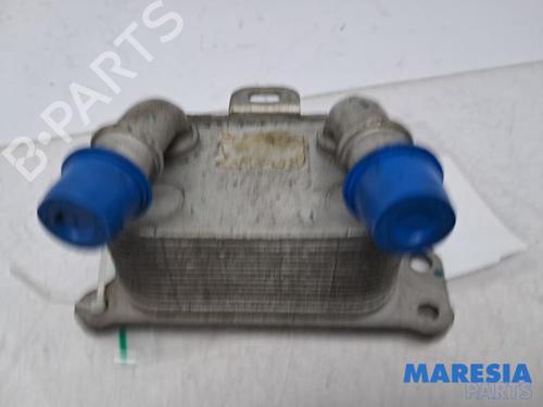 Used Oil radiator RENAULT SCÉNIC IV (J9_) 1.3 TCe 140 (140 hp) 31412681