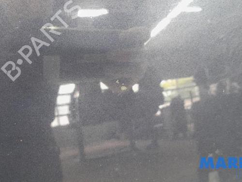 Hood CITROËN C4 Picasso I MPV (UD_) 1.6 16V | BP31469946C1 