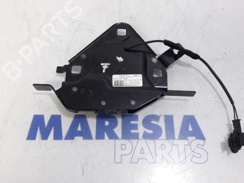 BP31387505O1 main image