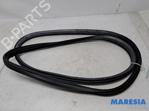 Used Rubber door seal FIAT 500L (351_, 352_) 0.9 (199LYC1B) (105 hp) 31442763
