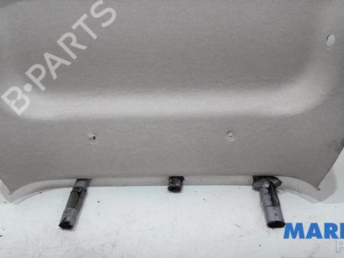 Other FIAT 500 (312_) 0.9 (312AXN1A) | BP31393039O1 