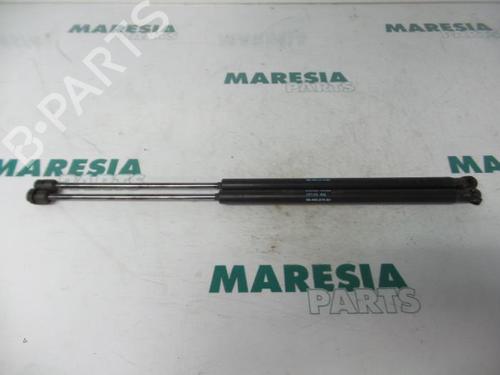 tailgate-lift-support-peugeot-1007-km_-2005-31458848 main image