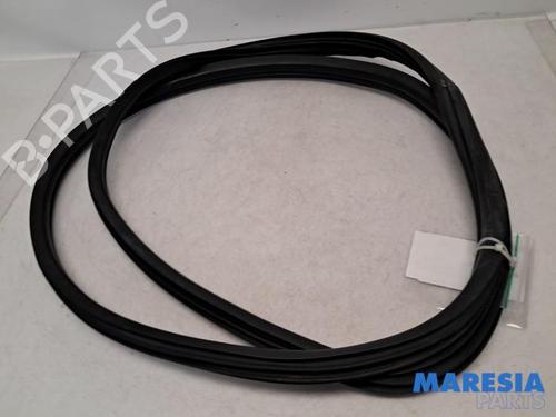 BP31517936C142 main image