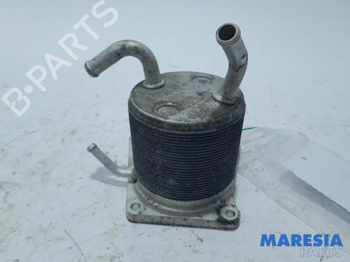 Used Oil radiator RENAULT SCÉNIC III (JZ0/1_) 2.0 16V (JZ0G, JZ0P, JZ1E, JZ1P) (140 hp) 31536537