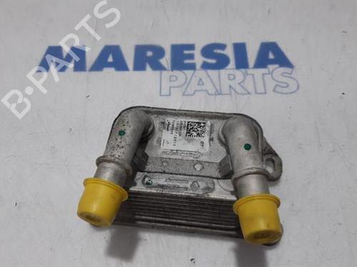 Used Oil radiator RENAULT CLIO IV Grandtour (KH_) 0.9 TCe 90 (90 hp) 31433654