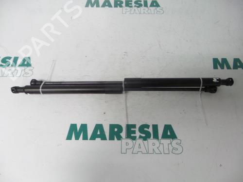 tailgate-lift-support-peugeot-207-sw-wk_-2007-2008-2009-2010-2011-2012-2013-31421778 main image