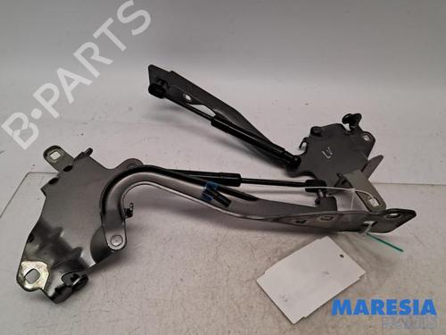 hingedoor-check-strap-renault-grand-scenic-iii-jz01_-2009-2010-2011-2012-2013-2014-2015-2016-31431271 main image