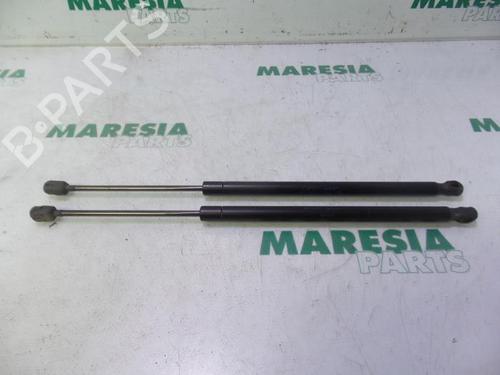Used Tailgate lift support Tailgate lift support RENAULT SCÉNIC II (JM0/1_) 2.0 (JM05, JM0U, JM1N, JM1U, JM2V) (135 hp) 31437109 31437109