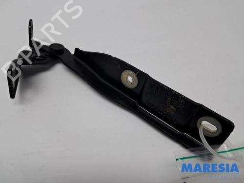 Used Hinge/Door check strap CITROËN C3 II (SC_) 1.6 HDi (92 hp) 31438358