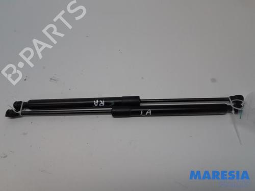 Gasdæmper bagklap RENAULT ZOE (BFM_) ZOE | BP31413621C138