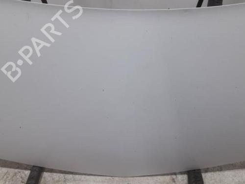 Motorhjelm RENAULT KANGOO Express (FW0/1_) 1.5 dCi 85 (FW0K, FW0L, FW0B) | BP31389683C1 