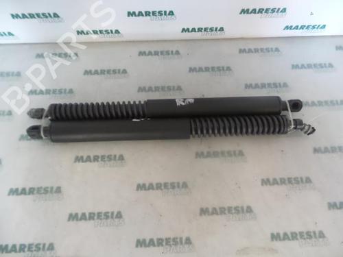 tailgate-lift-support-peugeot-307-cc-3b-2003-2004-2005-2006-2007-2008-2009-31492322 main image