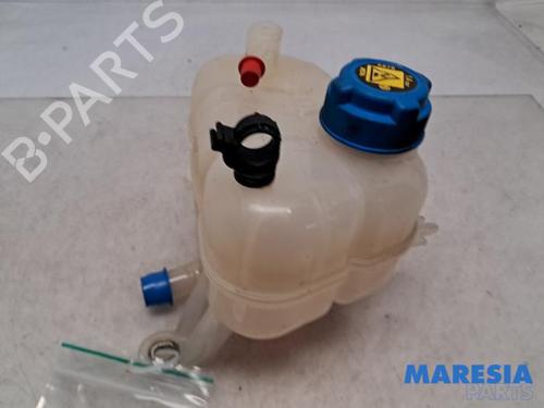 Ekpansionstank FIAT PANDA (312_, 319_) 0.9 (312PXP1A) (60 hp) 31419760