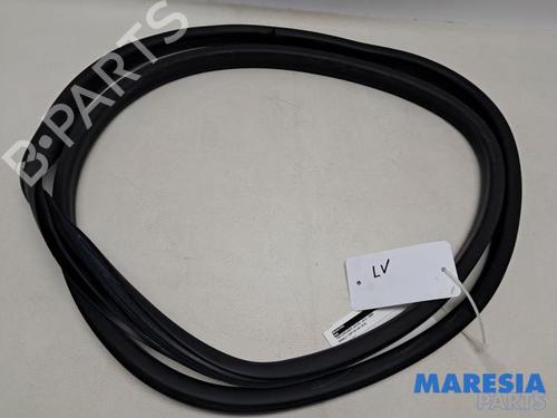 Gummiliste RENAULT CAPTUR I (J5_, H5_) 1.2 TCe 120 (120 hp) 31816450