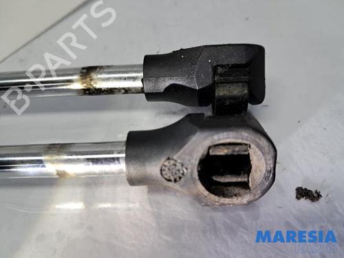 Tailgate lift support PEUGEOT PARTNER Tepee 1.6 VTi | BP31460242C138 - Image 3