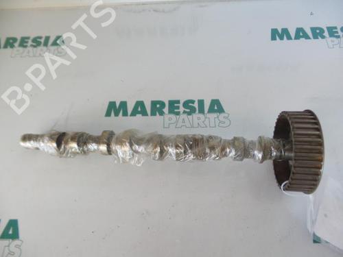 Used Other RENAULT MODUS / GRAND MODUS (F/JP0_) 1.6 (JP03, JP0B, JP0U, JP0Y, JP1G) (112 hp) 31387672