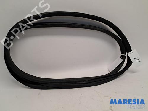 Gummiliste FIAT 500 (312_) 1.2 (312AXA1A) (69 hp) 31426046