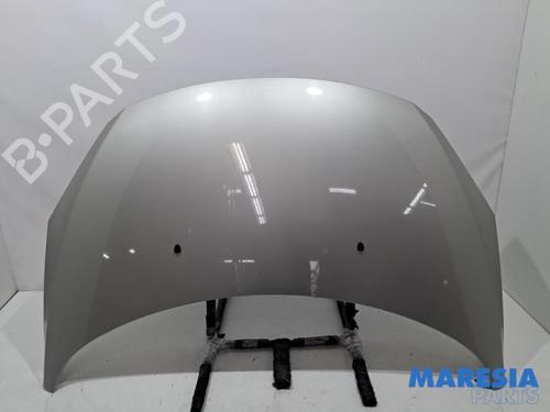 Panser PEUGEOT 307 Break (3E) 1.6 16V (109 hp) 31632188