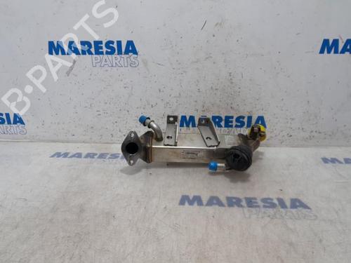 Used Egr RENAULT LAGUNA III Grandtour (KT0/1) 2.0 dCi (KT01, KT08, KT09, KT0K, KT12, KT1D, KT1W) (150 hp) 31419073