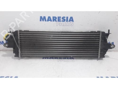 Intercooler RENAULT TRAFIC II Van (FL) 2.0 dCi 115 (FL01, FL0U, FL00, FL0H, FL0M) (114 hp) 31493872