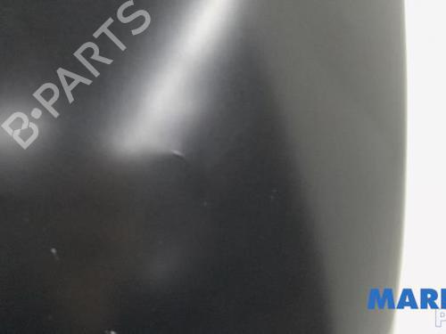 Hood FIAT 500 (312_) 0.9 (312AXG1A, 312.AXG11) | BP31391162C1