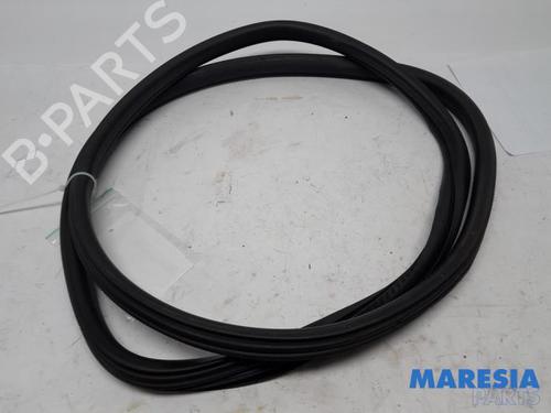 Gummiliste CITROËN C4 II (NC_) 1.4 VTi 95 (NC8FP0) (95 hp) 31529893