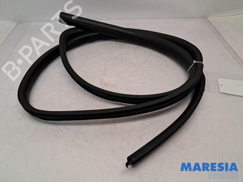 borracha-vedante-da-porta-renault-twingo-ii-cn0_-2007-31403194 main image