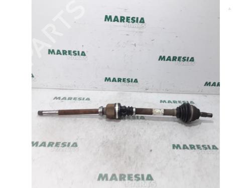 BP31454576M39 main image