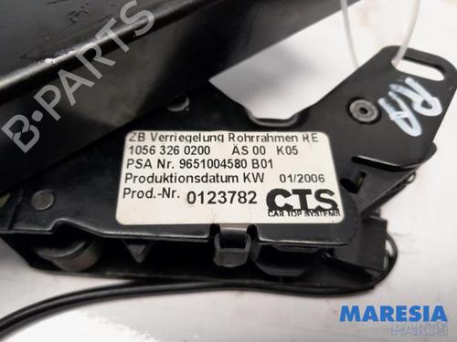 Switch PEUGEOT 307 CC (3B) 2.0 16V | BP31519560I30