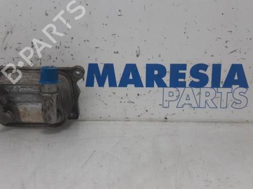 BP31464037M33 main image