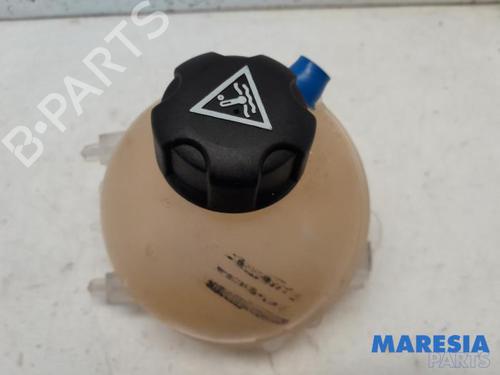 deposito-expansion-peugeot-partner-tepee-2008-31457799 main image