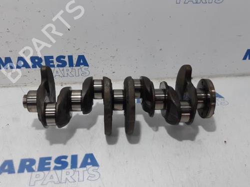 BP31404758O1 main image