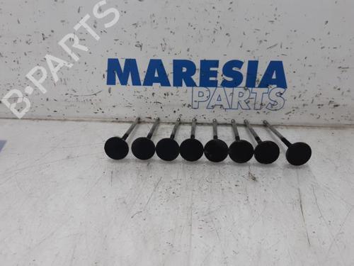 Cylinder head FIAT DUCATO Van (250_) 115 Multijet 2,0 D | BP31507004M5