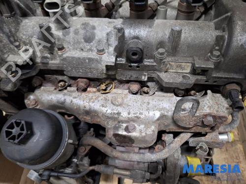 Engine FIAT PANDA (169_) 1.3 D Multijet (169.AXC1A) | BP31521097M1  - Image 8