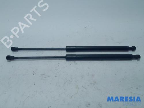 tailgate-lift-support-peugeot-208-i-ca_-cc_-2012-2013-2014-2015-2016-2017-2018-2019-2020-2021-31398768 main image