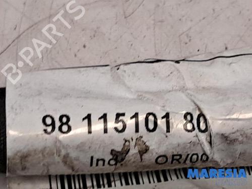 Elektronisk sensor CITROËN C4 CACTUS 1.2 VTi 82 | BP31420160M84