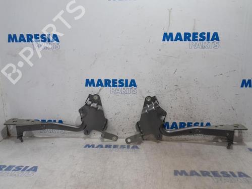 hingedoor-check-strap-renault-grand-scenic-iii-jz01_-2009-2010-2011-2012-2013-2014-2015-2016-31500825 main image