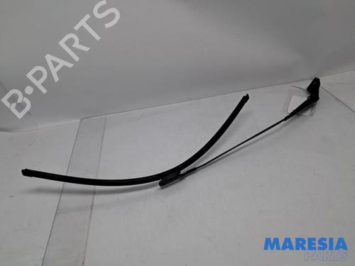 BP31488632C143 main image