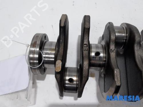 Other LANCIA DELTA III (844_) 1.4 16V (844.AXL1A) | BP31498947O1