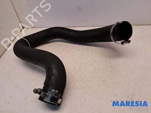 Used Pipe PEUGEOT 308 SW II (LC_, LJ_, LR_, LX_, L4_) 1.6 BlueHDi 120 (120 hp) 31481852