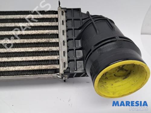 Intercooler RENAULT GRAND SCÉNIC III (JZ0/1_) 1.6 dCi (JZ00, JZ12) | BP31420985M30