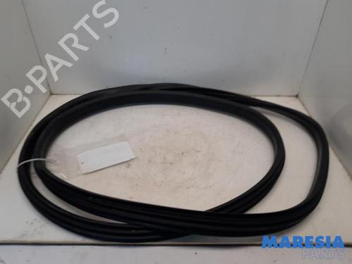 Gummiliste RENAULT ZOE (BFM_) ZOE | BP31429436C142